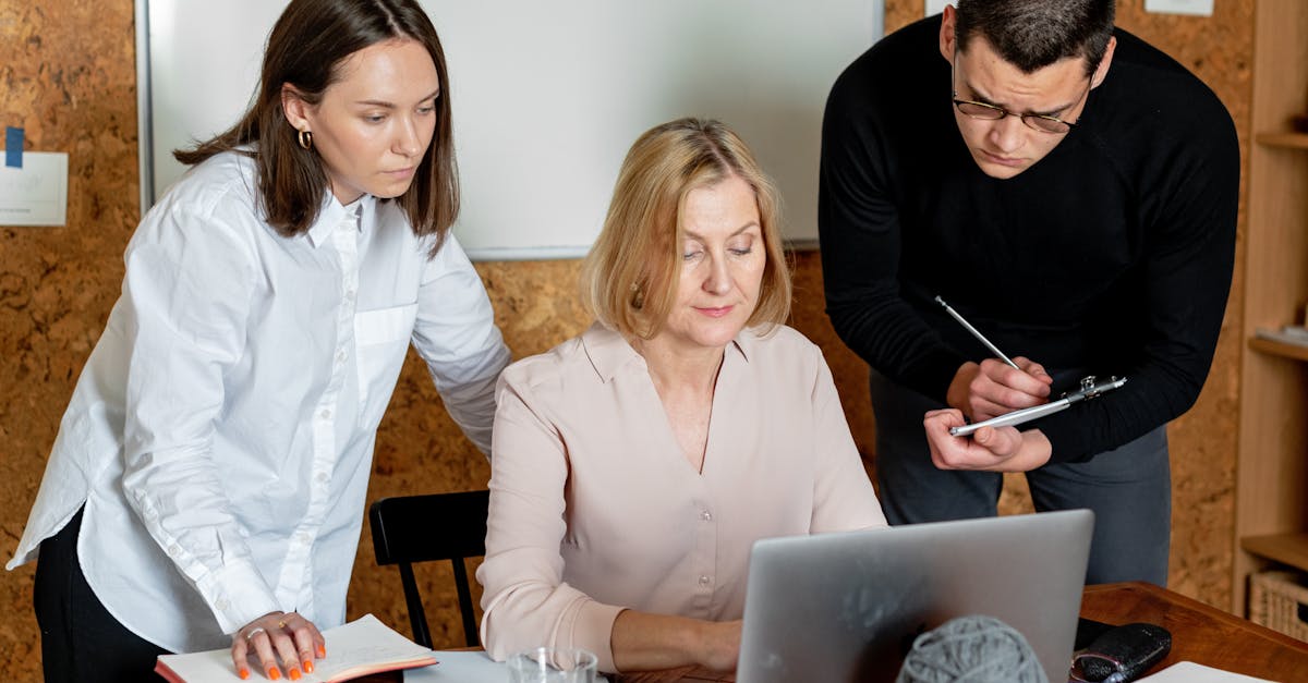 韩免铁塔猫济州岛（限定）：上海卢湾公司注册代理